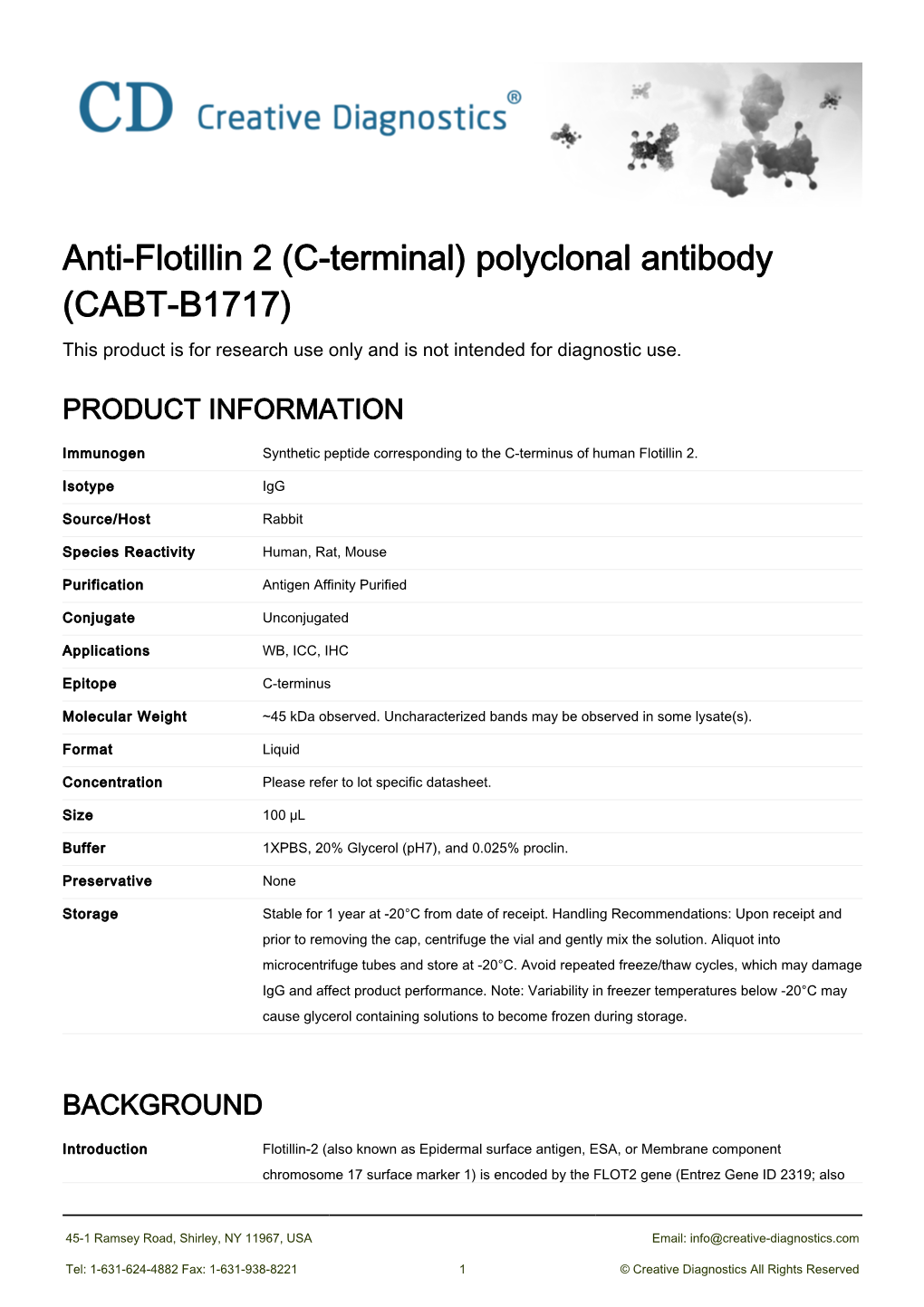 Anti-Flotillin 2 (C-Terminal) Polyclonal Antibody (CABT-B1717) This Product Is for Research Use Only and Is Not Intended for Diagnostic Use