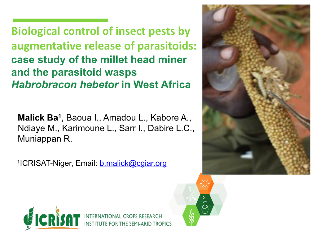 Biological Control of Insect Pests by Augmentative Release of Parasitoids