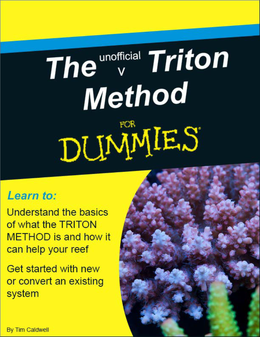 The Unofficial TRITON METHOD for Dummies Guide
