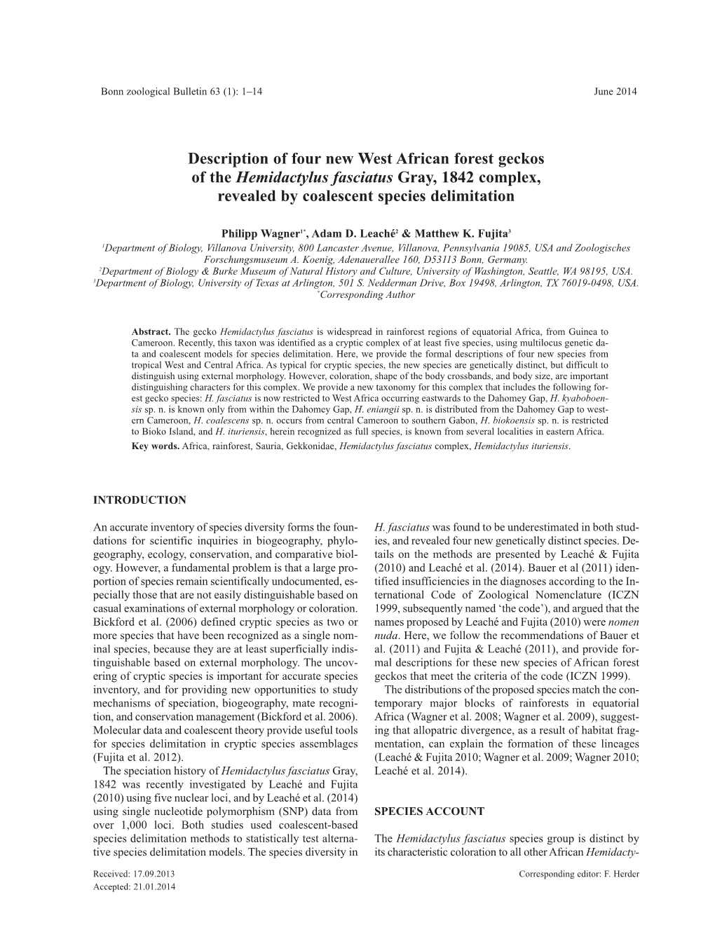 Description of Four New West African Forest Geckos of the Hemidactylus Fasciatus Gray, 1842 Complex, Revealed by Coalescent Species Delimitation