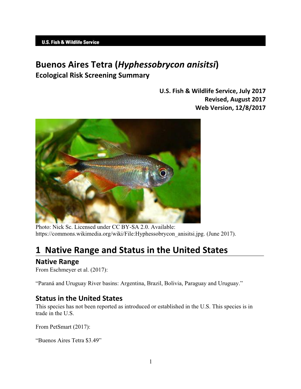 Buenos Aires Tetra (Hyphessobrycon Anisitsi) Ecological Risk Screening Summary