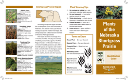 Plants of the Nebraska Shortgrass Prairie