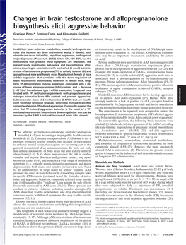 Changes in Brain Testosterone and Allopregnanolone Biosynthesis Elicit Aggressive Behavior