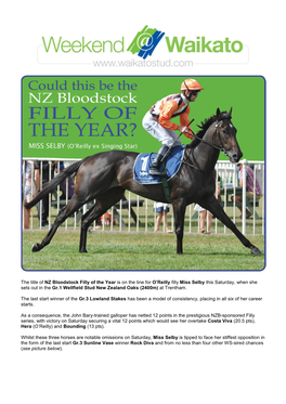 The Title of NZ Bloodstock Filly of the Year Is on the Line for O'reilly Filly