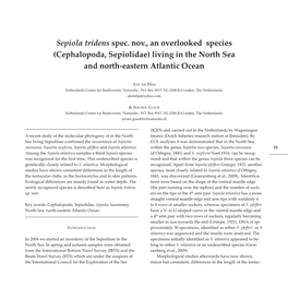 Cephalopoda, Sepiolidae) Living in the North Sea and North-Eastern Atlantic Ocean