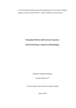 Emerging Markets and Currency Exposure: Firm Performance