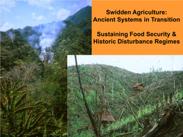 Swidden Agriculture: Ancient Systems in Transition