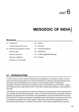 Mesozoic of India