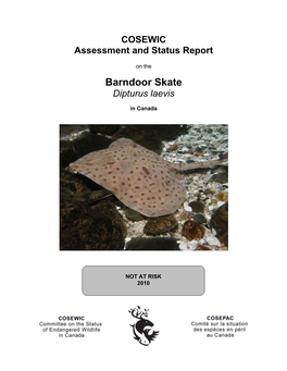 Barndoor Skate (Dipturus Laevis) in Canada, Prepared Under Contract with Environment Canada