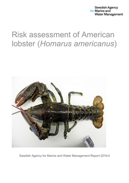 Risk Assessment of American Lobster (Homarus Americanus)