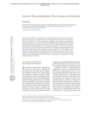 Meiotic Recombination: the Essence of Heredity