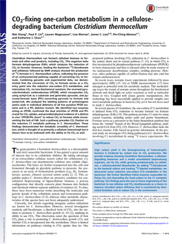 CO2-Fixing One-Carbon Metabolism in a Cellulose-Degrading Bacterium