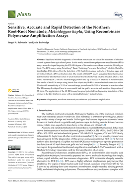 Sensitive, Accurate and Rapid Detection of the Northern Root-Knot Nematode, Meloidogyne Hapla, Using Recombinase Polymerase Ampliﬁcation Assays