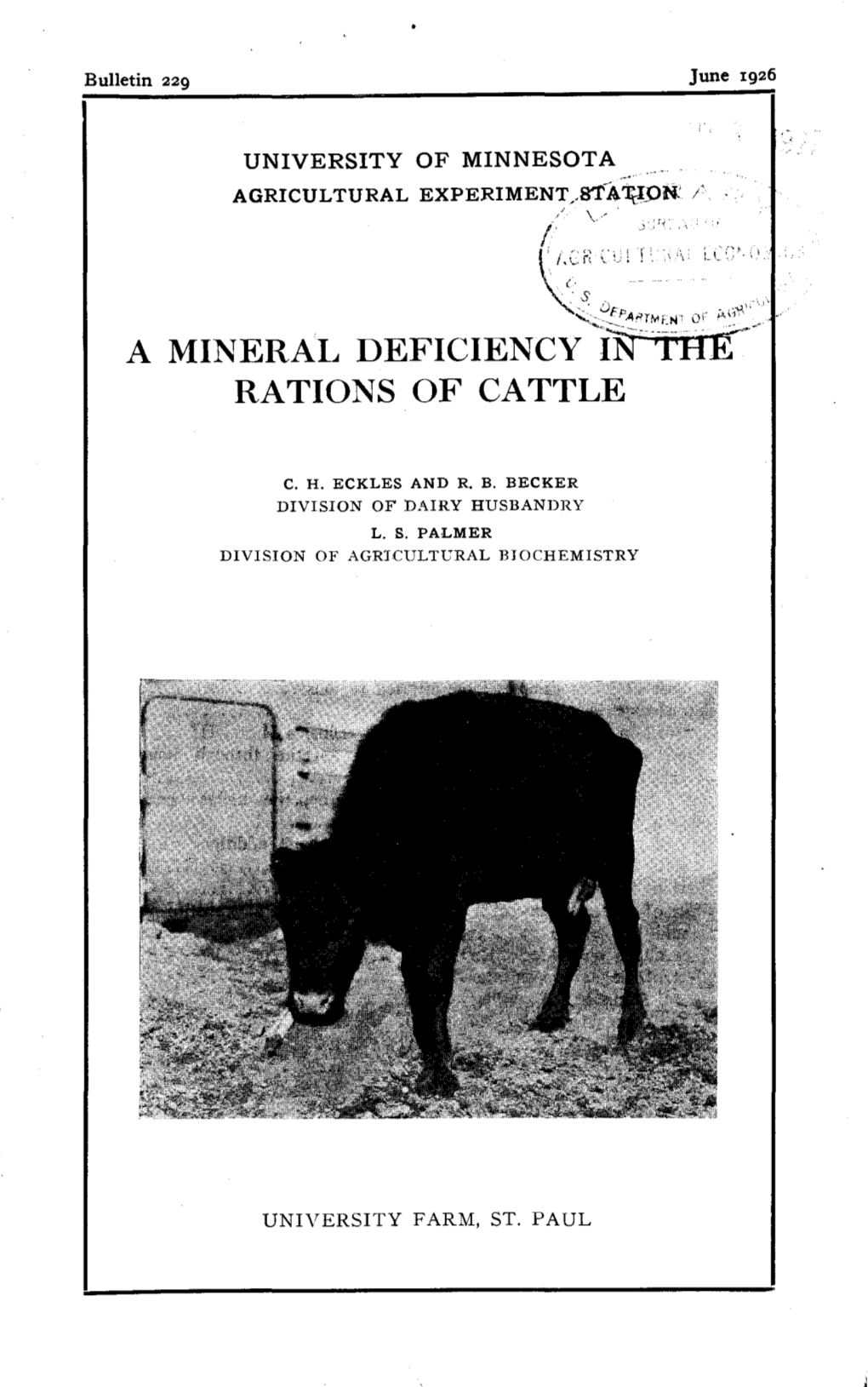 A MINERAL DEFICIENCY 'L~--+Tt:Et-~ RATIONS of CATTLE