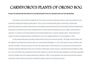 5. Carnivorous Plants of Orono