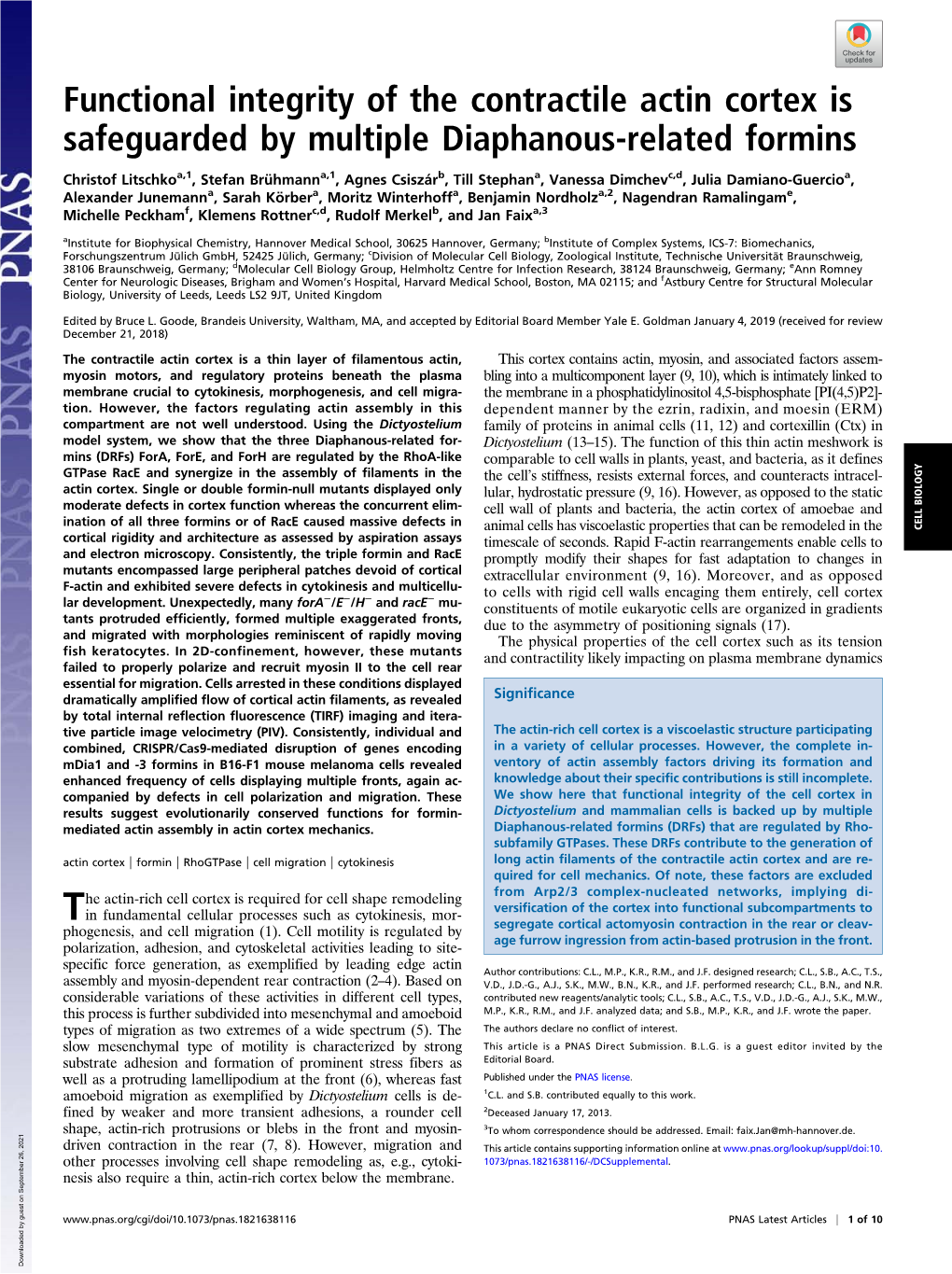 Functional Integrity of the Contractile Actin Cortex Is Safeguarded by Multiple Diaphanous-Related Formins