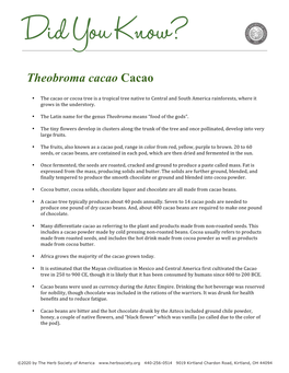 Theobroma Cacao Cacao
