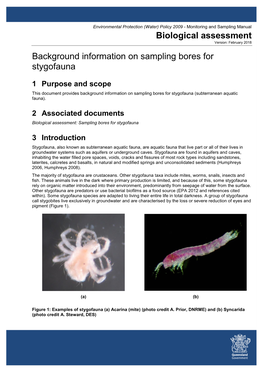 Background Information on Sampling Bores for Stygofauna