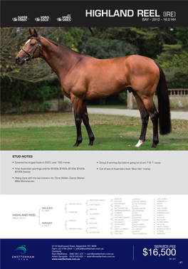 Stallion Brochure