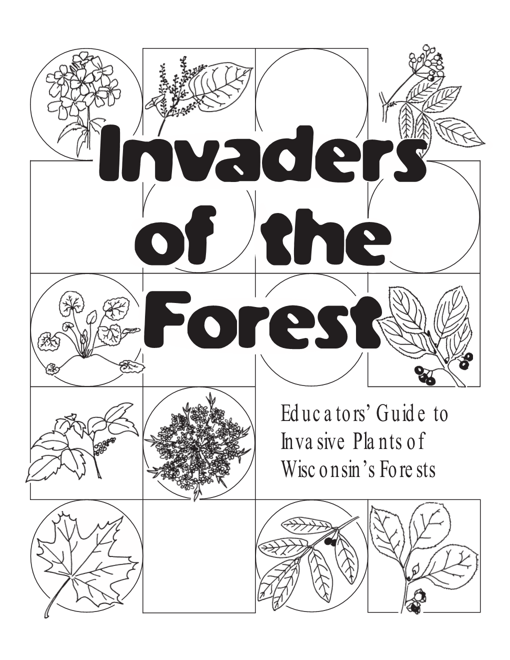 Invaders of the Forest Guide