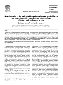 Neural Activity in the Horizontal Limb of the Diagonal Band of Broca Can Be Modulated by Electrical Stimulation of the Olfactory Bulb and Cortex in Rats