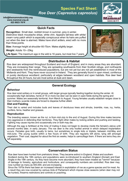 Species Fact Sheet: Roe Deer (Capreolus Capreolus) Info@Themammalsociety.Org 023 8023 7874