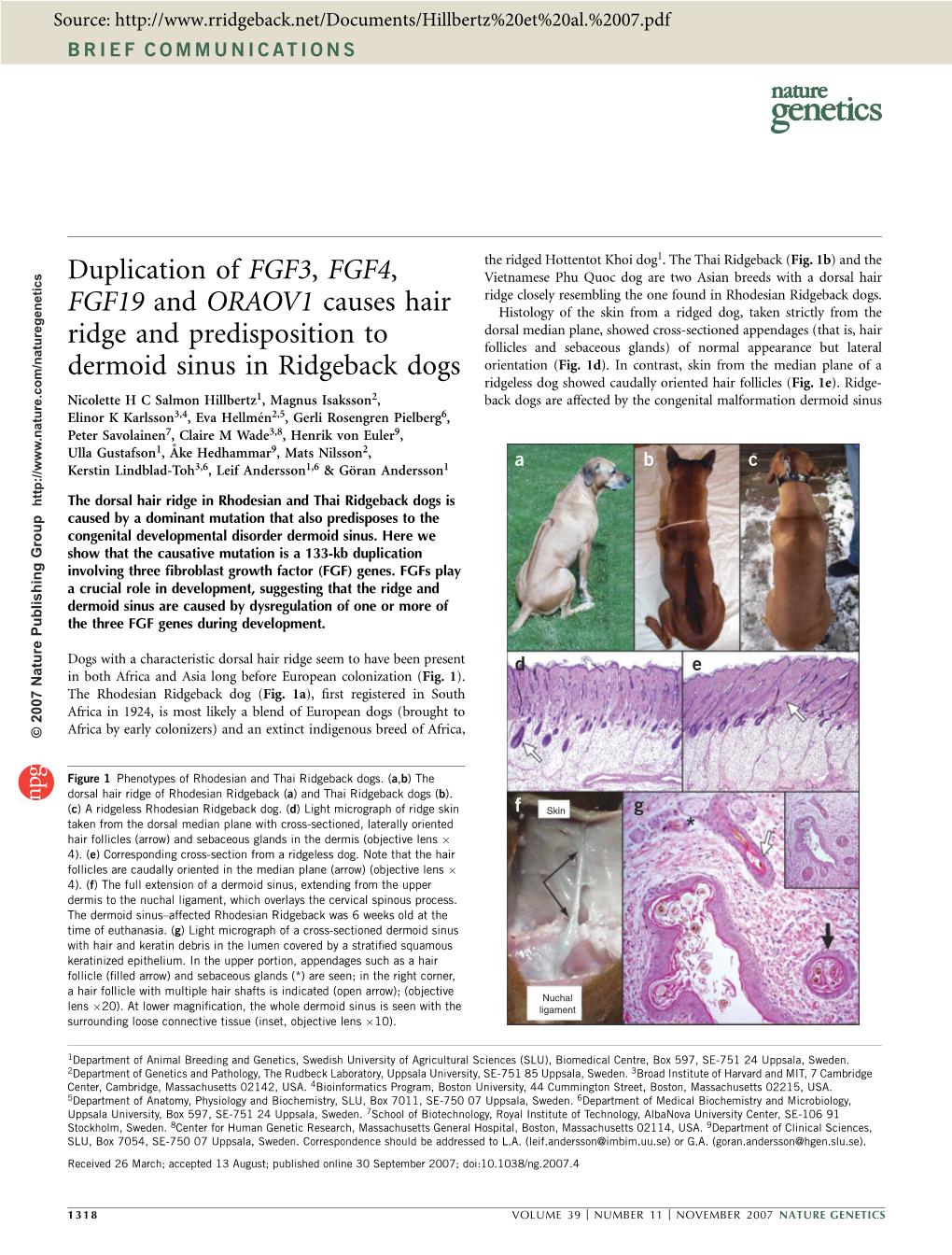 Duplication of FGF3, FGF4, FGF19 and ORAOV1 Causes Hair Ridge and Predisposition to Dermoid Sinus in Ridgeback Dogs