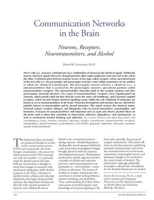 Communication Networks in the Brain