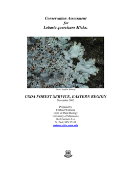 Conservation Assessment for Lobaria Quercizans Michx