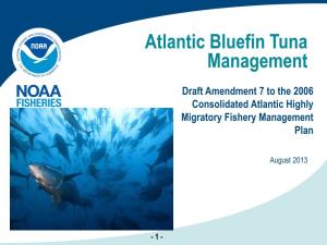 Atlantic Bluefin Tuna Management