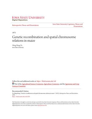 Genetic Recombination and Spatial Chromosome Relations in Maize Ming-Hung Yu Iowa State University