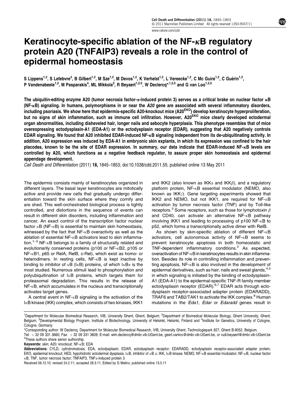 Keratinocyte-Specific Ablation of the NF-&Kappa