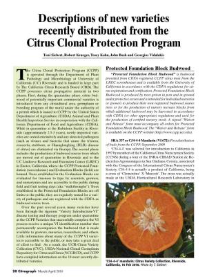 Descriptions of New Varieties Recently Distributed from the Citrus Clonal Protection Program