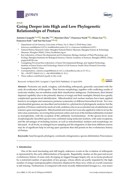 Going Deeper Into High and Low Phylogenetic Relationships of Protura