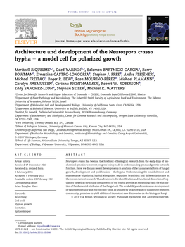 Architecture and Development of the Neurospora Crassa Hypha E a Model Cell for Polarized Growth