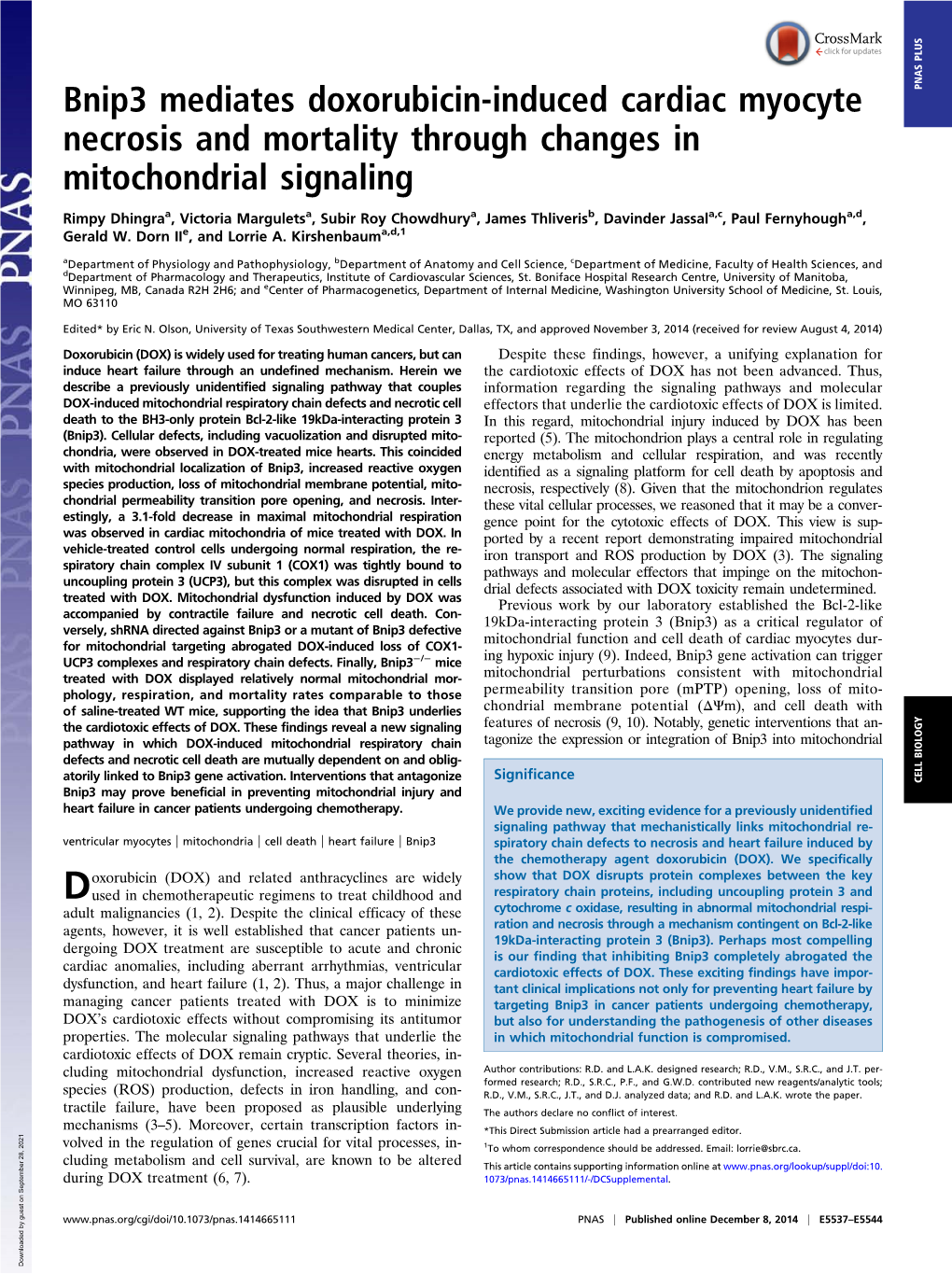 Bnip3 Mediates Doxorubicin-Induced Cardiac Myocyte Necrosis