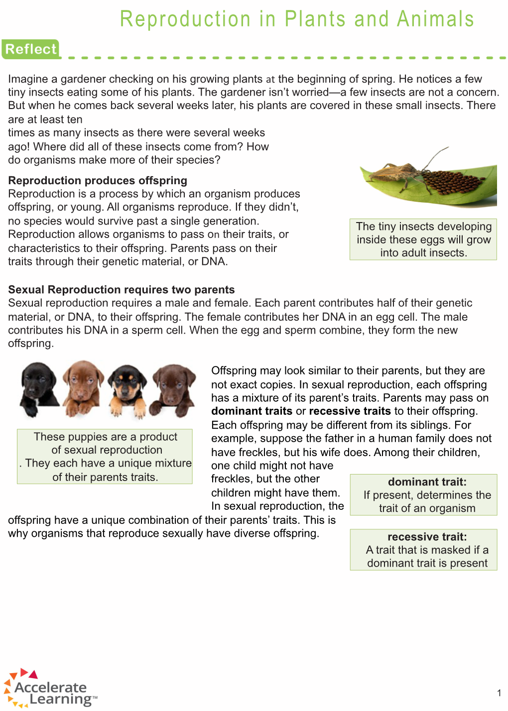 Reproduction in Plants and Animals