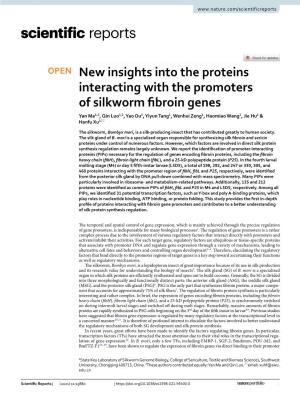 New Insights Into the Proteins Interacting with the Promoters Of