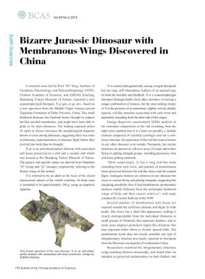 116 Bizarre Jurassic Dinosaur with Membranous Wings Discovered In