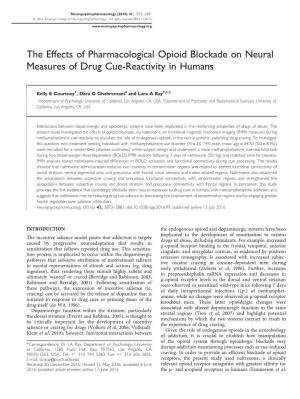 The Effects of Pharmacological Opioid Blockade on Neural Measures of Drug Cue-Reactivity in Humans