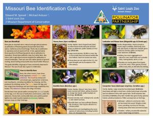 Missouri Bee Identification Guide Edward M