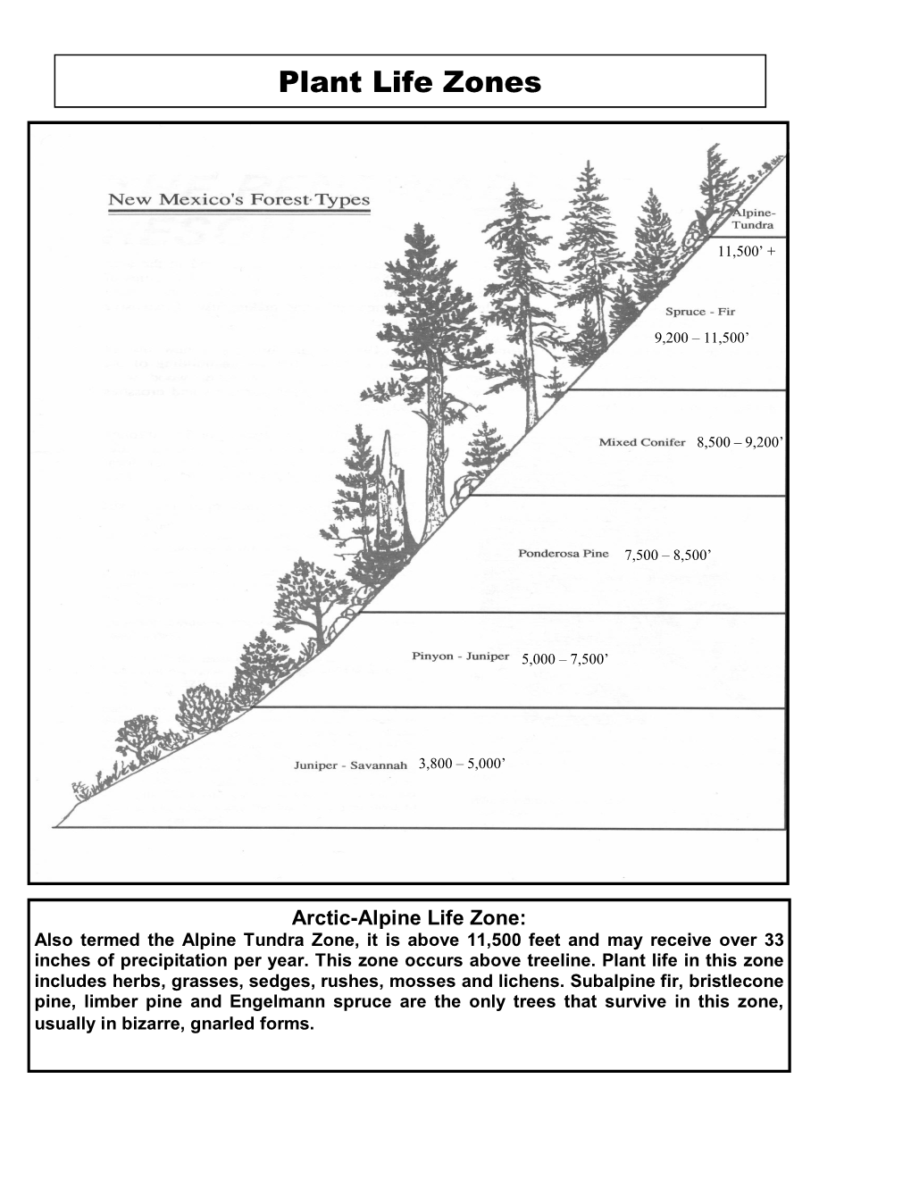 Plant Life Zones