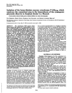 Glucoside Dhurrin in Sorghum Bicolor