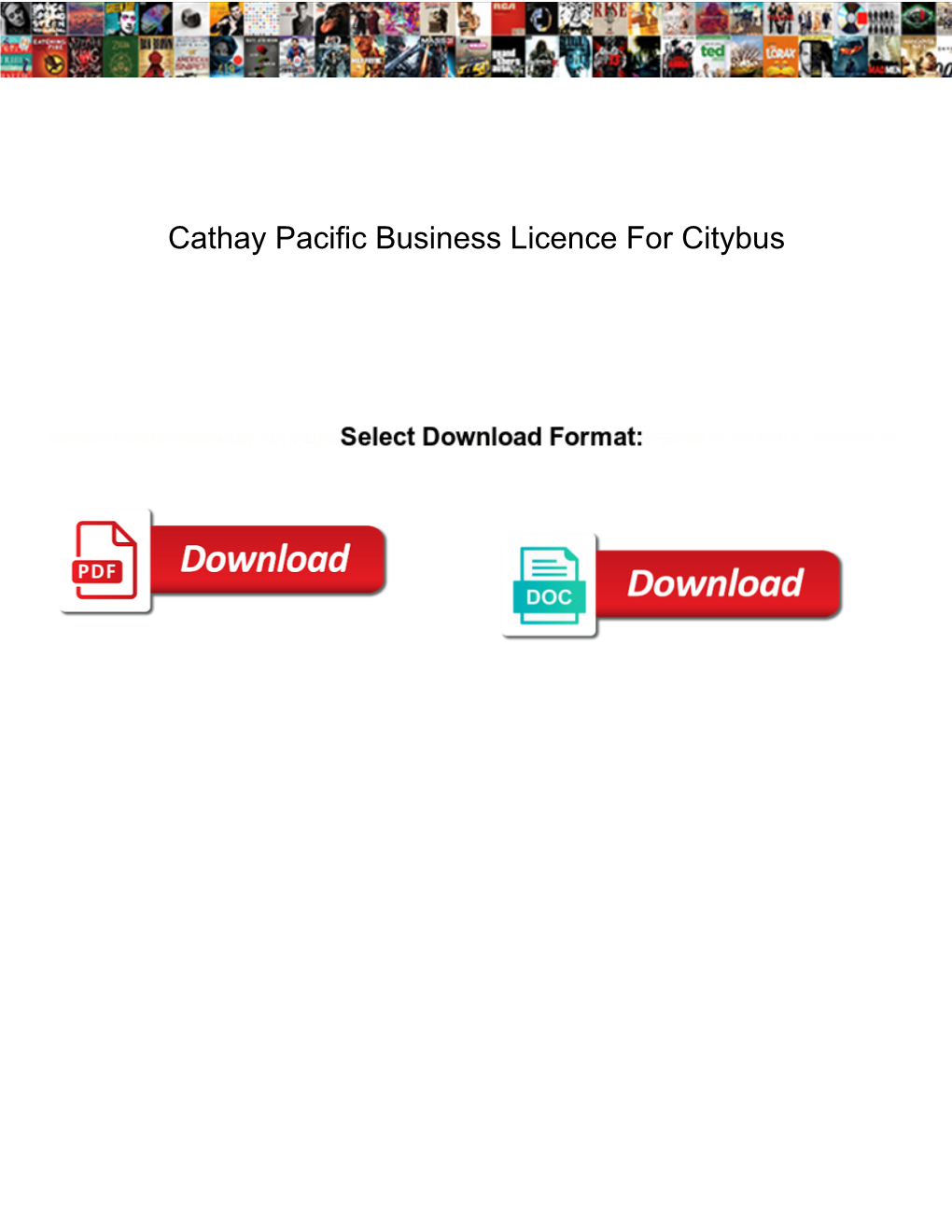 Cathay Pacific Business Licence for Citybus