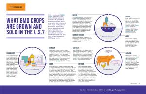What GMO Crops Are Grown and Sold in the U.S.?