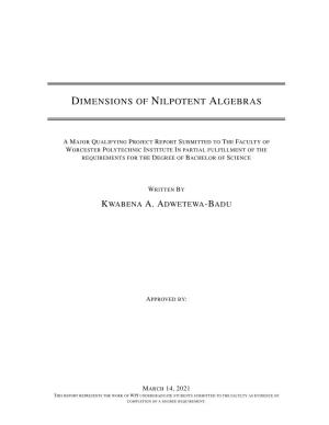 Dimensions of Nilpotent Algebras