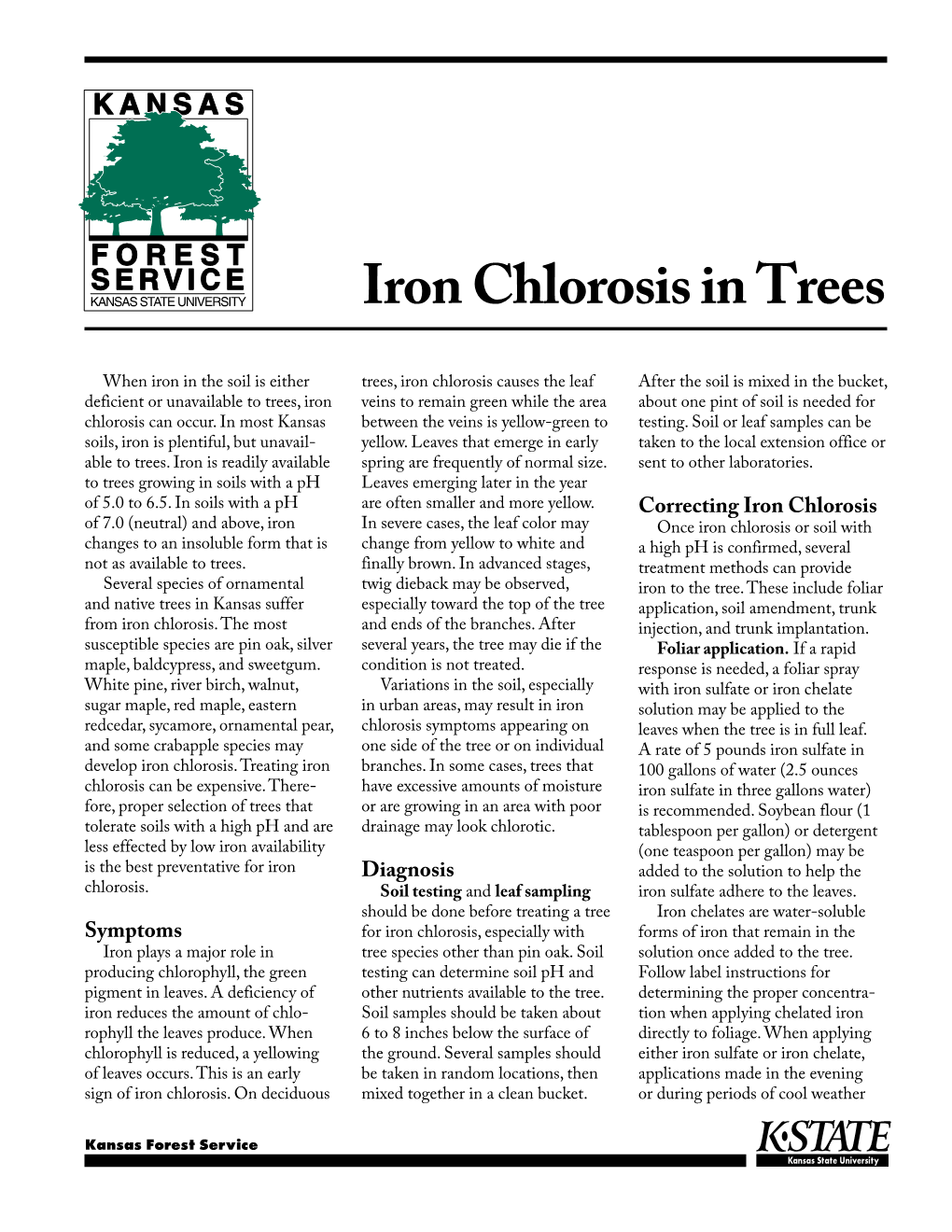 Iron Chlorosis in Trees