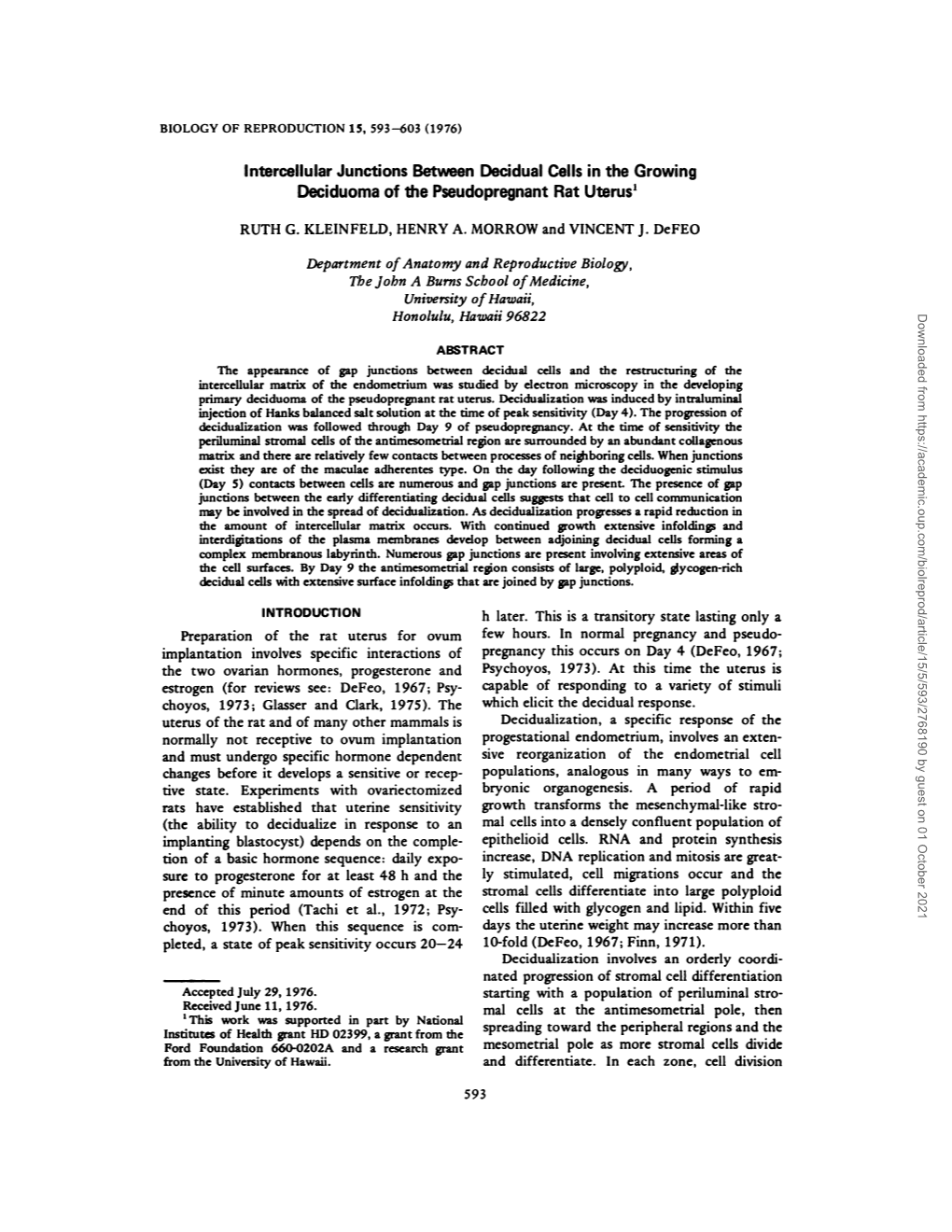 Intercellular Junctions Between Decidual Cells in the Growing