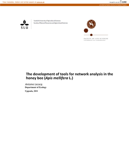The Development of Tools for Network Analysis in the Honey Bee (Apis Mellifera L.)