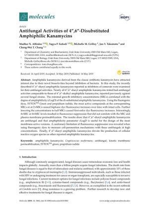 6″-Disubstituted Amphiphilic Kanamycins